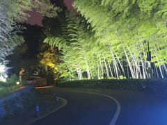 -宁波野生动物园