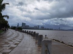 -深圳湾公园(南山区)