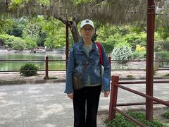 -嘉定紫藤园