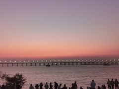 -宝安西湾红树林湿地公园