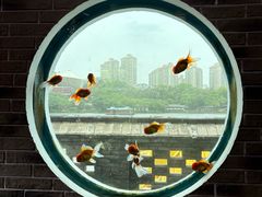 -珠海圆明新园