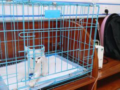 -美联众合动物医院·伴可分院·内科中心医院