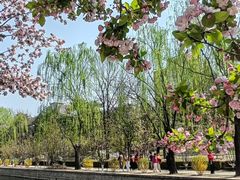 -元大都城垣遗址公园