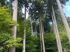 -三千院