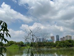 -福田红树林生态公园
