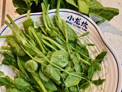 -小龙坎火锅(全球旗舰店)