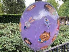 -上海迪士尼度假区