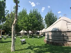 -九十九顶毡房(阜石路店)