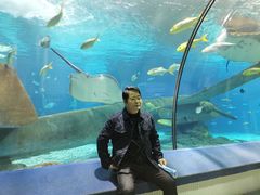 -福州罗源湾海洋世界旅游区