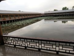 -白洋淀景区