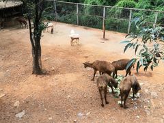 -昆明动物园