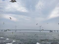 -星海广场