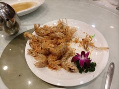 避风塘濑尿虾-大东海海鲜酒楼(渔人码头总店)