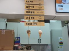 -野人先生现做冰淇淋(西安赛格店)