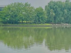 -同里国家湿地公园