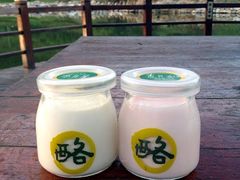 奶酪-功夫酸奶酪