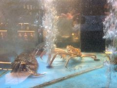 -九洲喜来登酒店湖月日餐厅