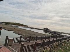 -南大港湿地风景区