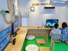 -MOCHA明星猫咖(田子坊店)