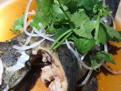 -盒马鲜生(大成店)