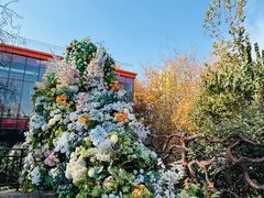 -西安电影制片厂