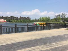 -上海长兴岛郊野公园