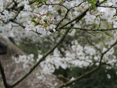 -中国茶叶博物馆(双峰馆区)