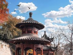 -宝通禅寺