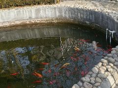 -金州副都统衙门博物馆