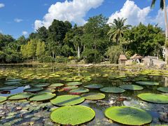 -中国科学院西双版纳热带植物园