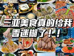 -亚龙湾热带天堂森林公园
