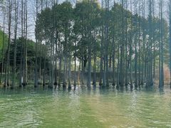 -苏州太湖国家湿地公园