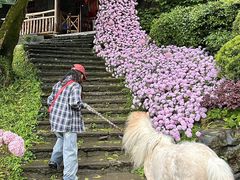 -巴倒烫陆派火锅山庄(南山总店)