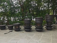 -天目湖山水园