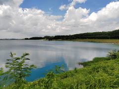 -露天矿生态公园