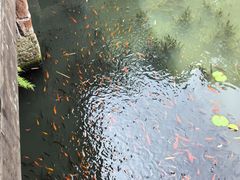 -三苏祠