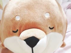 -名创优品(山东青岛市新业广场店)