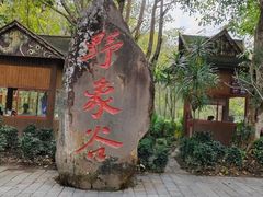 -野象谷景区