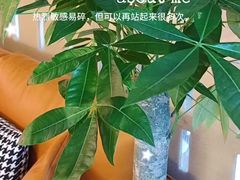 -宫七SPA·高端Massage(浦东大道店)