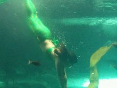 -洛阳龙门海洋馆