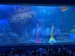 -多彩贵州城极地海洋世界