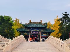 -晋祠公园