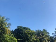 -三亚湾海居铂尔曼度假酒店