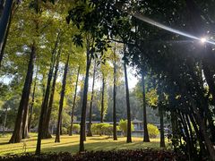 -晓港公园