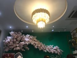 -S庆熙美学皮肤管理