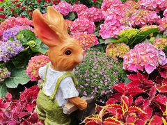 -人民公园(罗湖区)