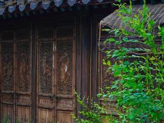 -春风习习