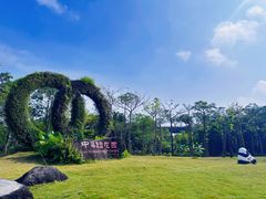 -中澳友谊花园