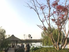 -苏州湾王焰温泉度假酒店