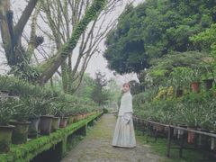 -南山植物园